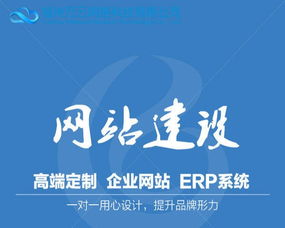 定制型 功能型网站建设100元 福州万云本地服务商